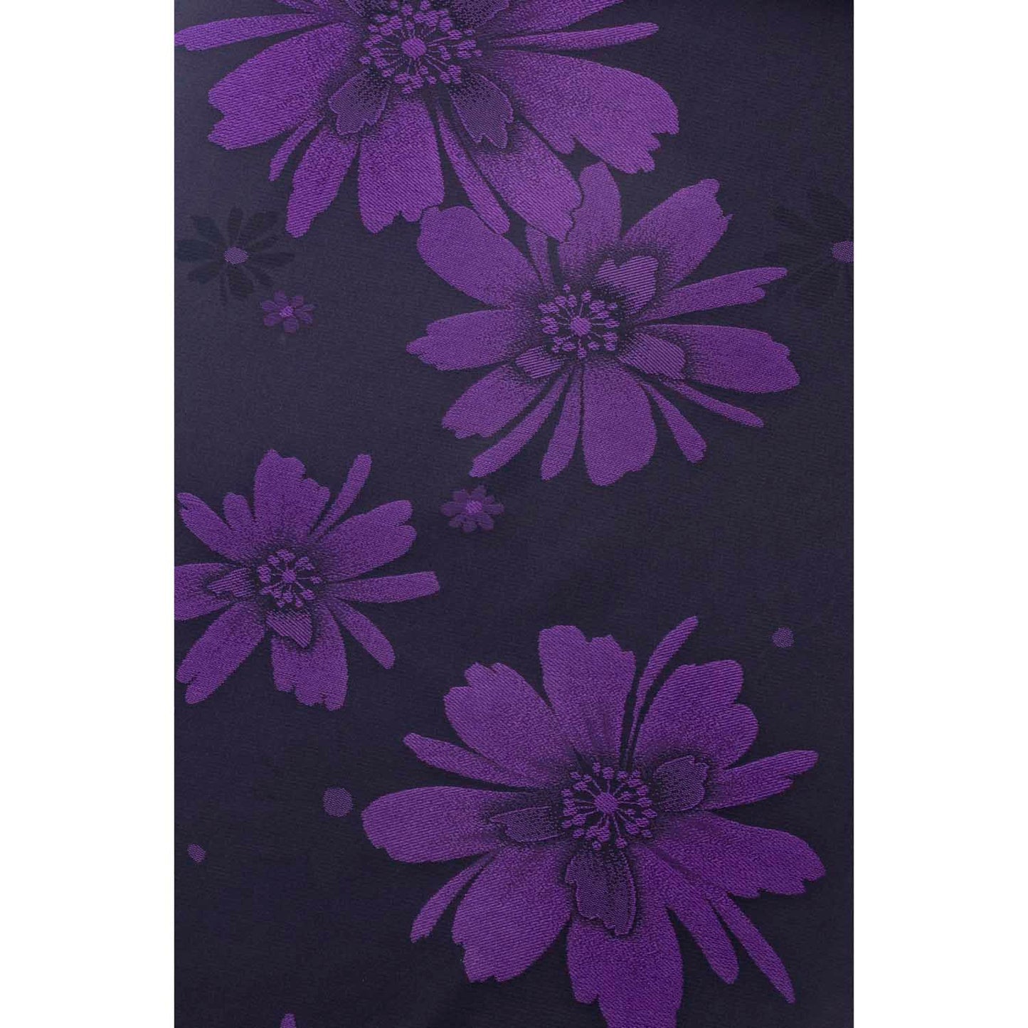 クリアコスモス(バイオレット)